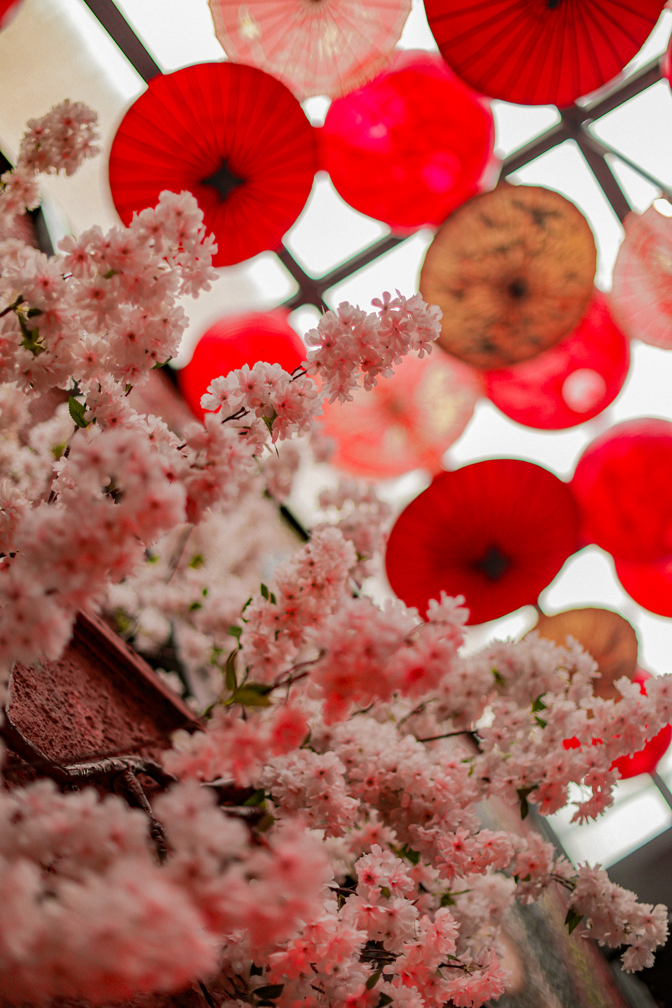 Restaurante en Manila Poblado