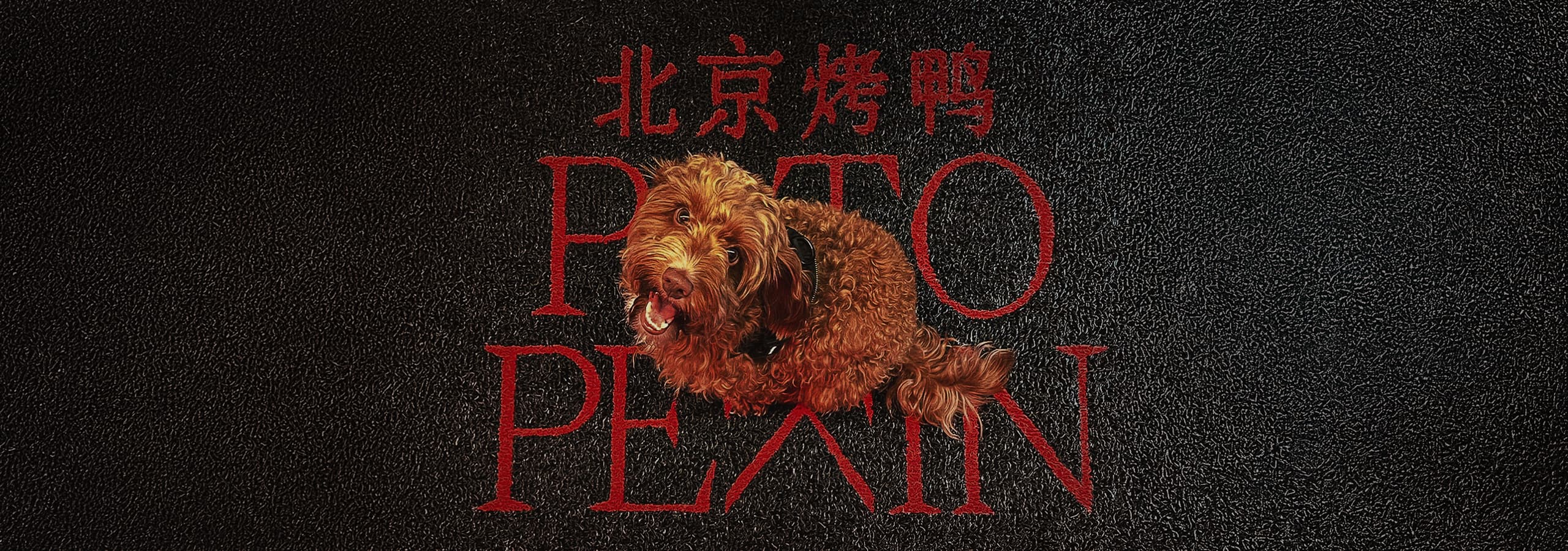 Pato Pekin