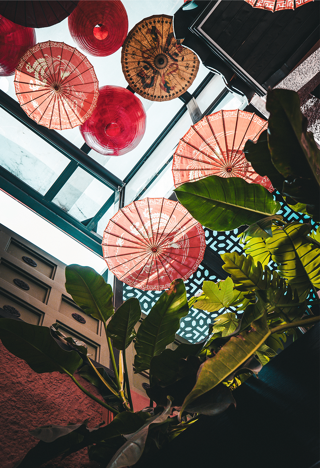 Pink and red paper lanterns hang from a glass ceiling above lush tropical plants in a bright indoor space.