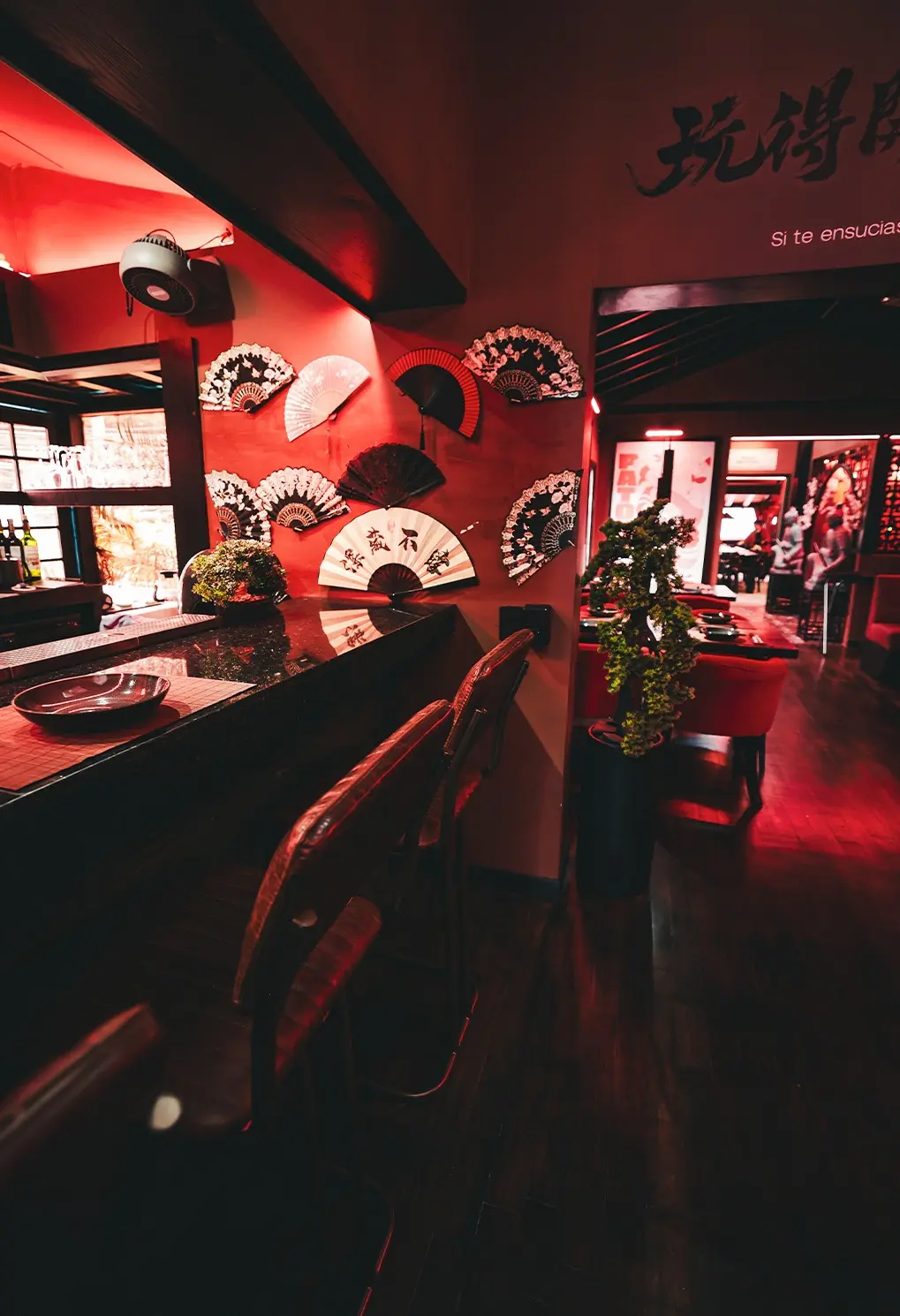 Restaurants for lunch in Medellín
